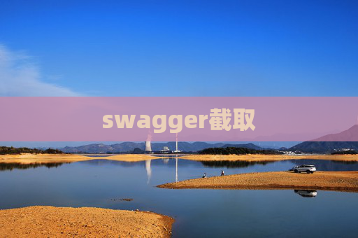 swagger截取